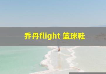 乔丹flight 篮球鞋